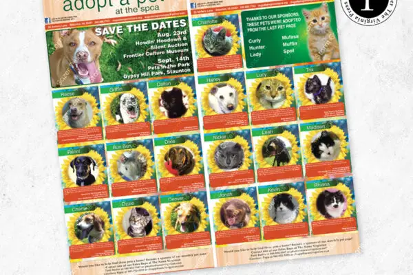 A 1st Place Virginia Press Association award-winning editorial layout for the "Adopt a Pet" section of The News Virginian, featuring a grid of adoptable cats and dogs in sunflower frames, community event dates, and SPCA branding.