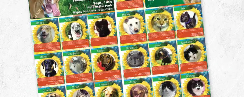 A 1st Place Virginia Press Association award-winning editorial layout for the "Adopt a Pet" section of The News Virginian, featuring a grid of adoptable cats and dogs in sunflower frames, community event dates, and SPCA branding.