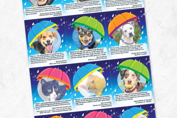 A 3rd Place Virginia Press Association award-winning editorial layout for the Augusta Regional SPCA "Adopt a Pet" section, featuring an "April Showers" theme with adoptable dogs and cats pictured under colorful 3D-style umbrellas against a rainy blue background.