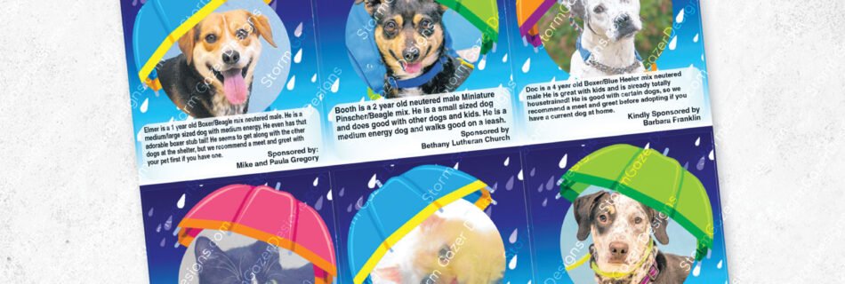 A 3rd Place Virginia Press Association award-winning editorial layout for the Augusta Regional SPCA "Adopt a Pet" section, featuring an "April Showers" theme with adoptable dogs and cats pictured under colorful 3D-style umbrellas against a rainy blue background.