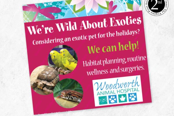2015 VPA award-winning newspaper advertisement for Woodworth Animal Hospital featuring exotic pets like birds, a tortoise, and a snake on a vibrant pink background.