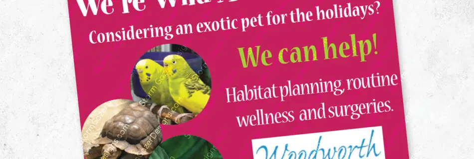 2015 VPA award-winning newspaper advertisement for Woodworth Animal Hospital featuring exotic pets like birds, a tortoise, and a snake on a vibrant pink background.